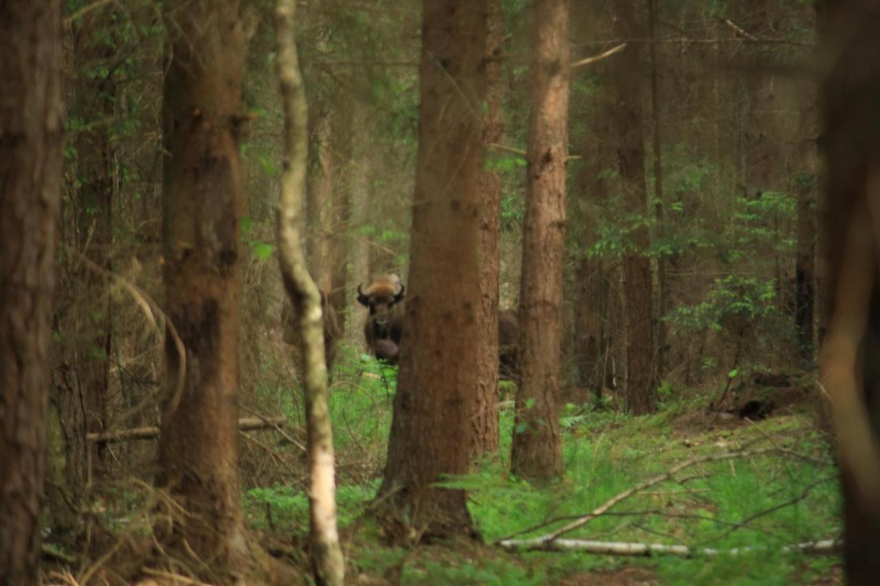 Nasze Podlasie, Domek w Dubiczach Cerkiewnych Dubicze Cerkiewne Zewnętrze zdjęcie