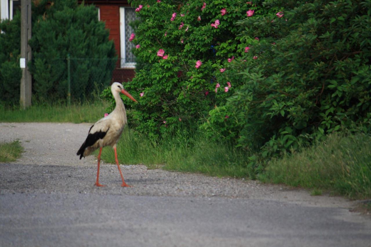 Nasze Podlasie, Domek w Dubiczach Cerkiewnych Dubicze Cerkiewne Zewnętrze zdjęcie