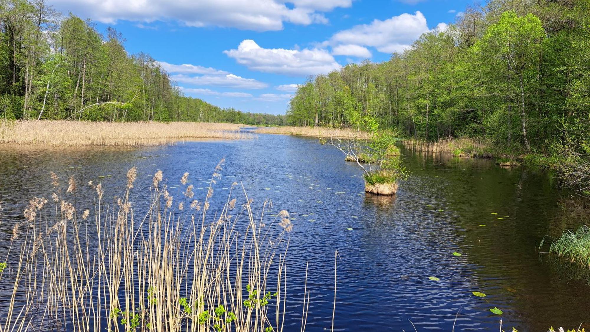 Nasze Podlasie, Domek w Dubiczach Cerkiewnych Dubicze Cerkiewne Zewnętrze zdjęcie